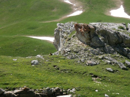 Estelette (3).JPG - Une marmotte